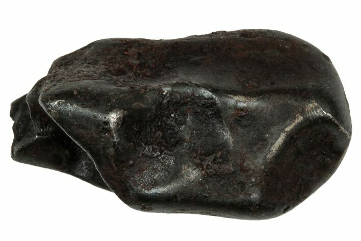 Fusion Crusted Sikhote-Alin Iron Meteorite ( g) - Russia #334571